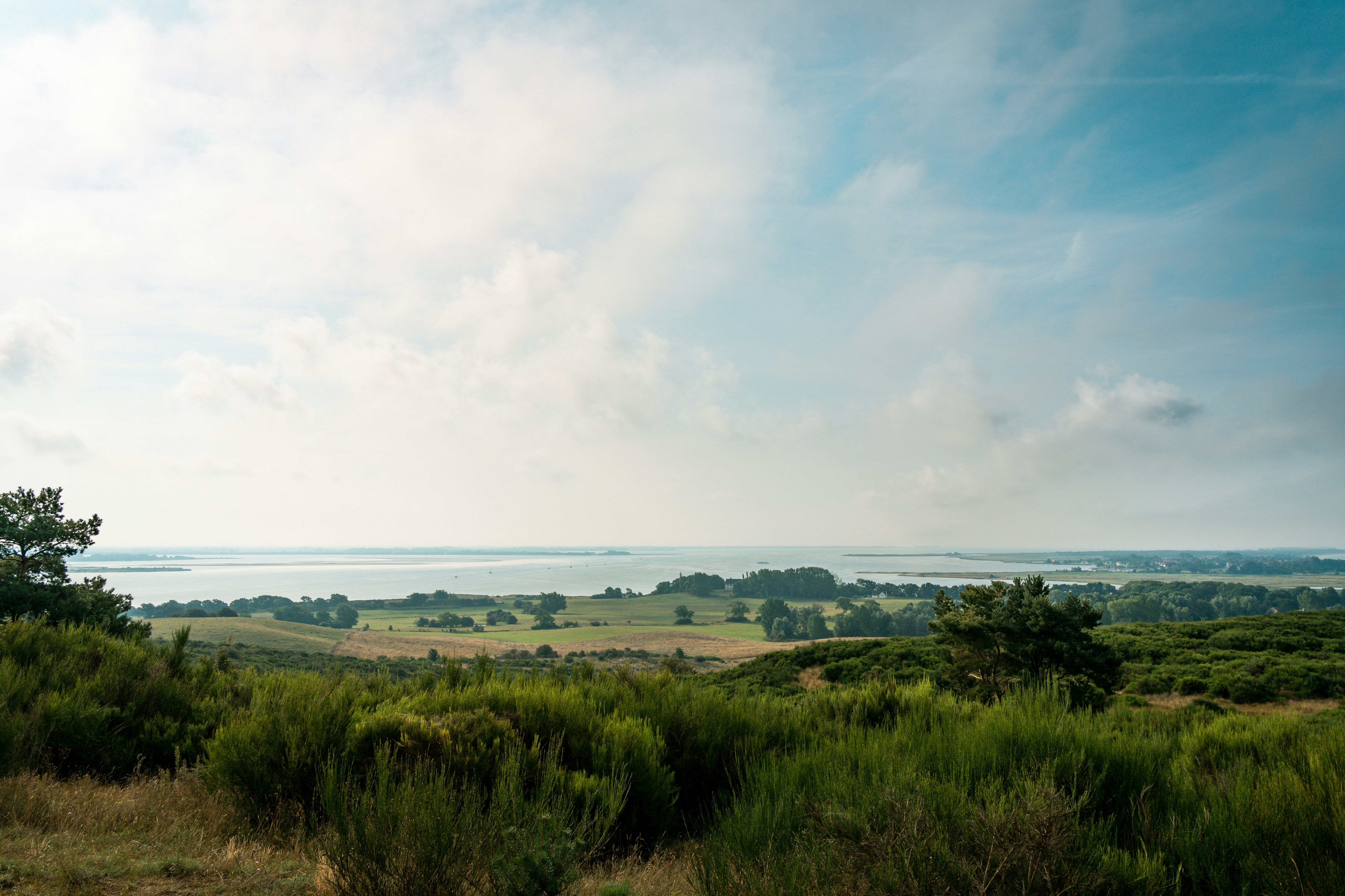 green grass field near body of water under white clouds during daytime